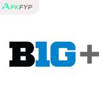 B1G+