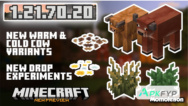 Minecraft 1.21.70.20 1